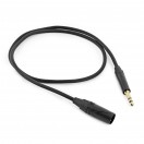 C&acirc;ble Pro XLR (M) - Jack TRS 6,35 mm, 1 m