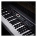 SDP-4 Stage Piano by Gear4music + Stand, Pedal and Headphones