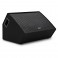 SubZero C15M Passive Stage Monitor - Nearly New