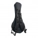 Tom and Will Mandolin Gig Bag, Black and Navy