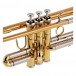 Jupiter JTR1110RQ Bb Trumpet, Lacquer