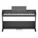 Roland RP107 Digital Piano Package - piano front