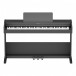 Roland RP107 Digital Piano Deluxe Package - front