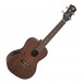 Luna Mo'o Electro Concert Ukulele, Mahogany