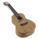 Luna Bamboo Concert Ukulele, Satin Natural