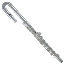 Roy Benson FL102 Flute for Children, Curved Head