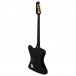 Gibson Rex Brown Thunderbird, Ebony back