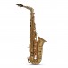 Roy Benson AS202 Alto Saxophone, Gold