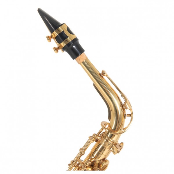 Roy Benson AS202 Alto Saxophone, Gold at Gear4music