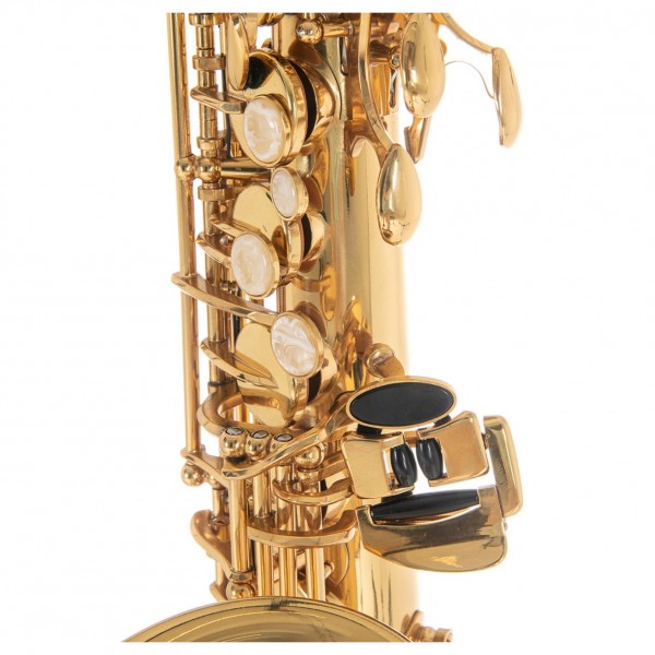 Roy Benson AS202 Alto Saxophone, Gold at Gear4music