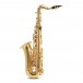 Roy Benson AS201 Alto Saxophone for Children