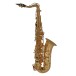 Roy Benson AS201 Alto Saxophone for Children 1