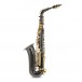 Roy Benson AS202 Alto Saxophone, Black and Gold