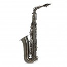 Roy Benson AS202 Alto Saxophone, Frosted Black