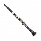 Roy Benson CG220 Bb Clarinet, German System