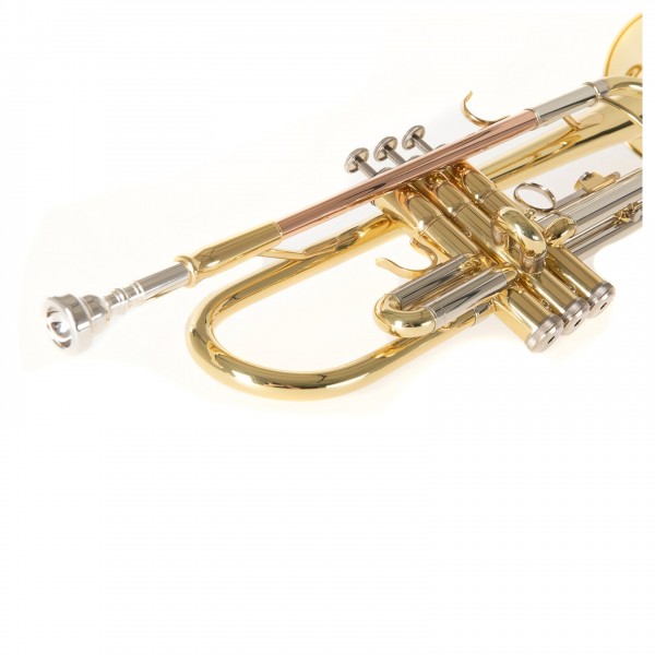 Roy Benson TR202 - Detail 3