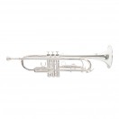 Roy Benson TR202S Trumpet, Silver Plated