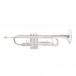 Roy Benson TR202S Bb Trumpet, Silver Plated