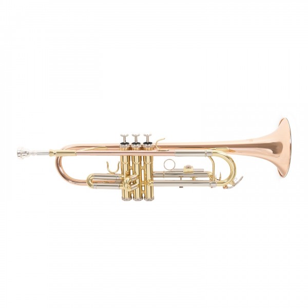 Roy Benson TR202 Bb Trumpet, Gold Brass Bell