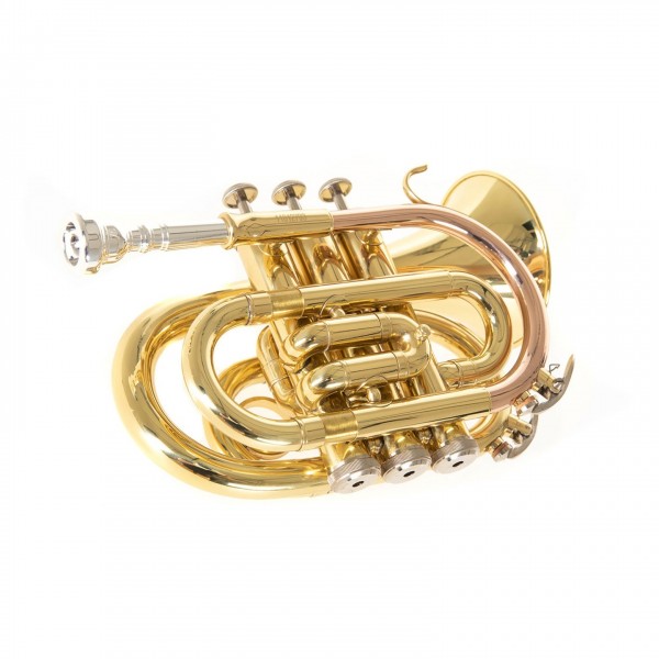 Roy Benson PT101 Pocket Trumpet, Lacquer Side