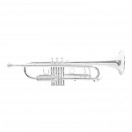 Roy Benson TR403S Trumpet, Silver Plated