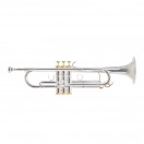 Roy Benson Charli Green Signature Trompete, Silver &Uuml;berzogen