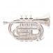 Roy Benson PT101S Pocket Trumpet, Silver Main