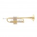 Roy Benson TR402C C Trumpet, Lacquer