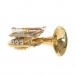 Roy Benson PT302 Pocket Trumpet Under