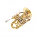 Roy Benson PT302 Pocket Trumpet Side