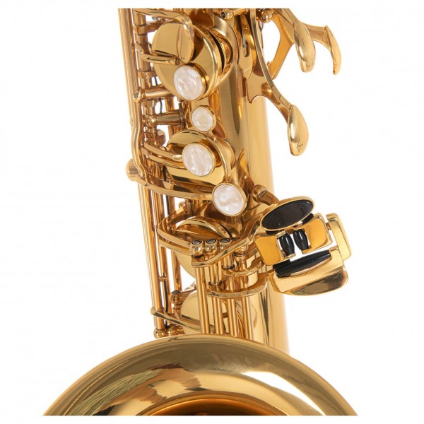 Roy Benson TS302 - Detail 1
