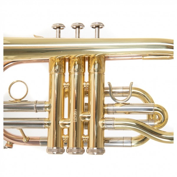 Roy Benson CR202 Bb Cornet, Lacquer Side