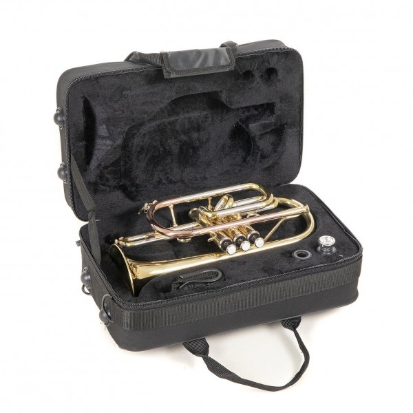 Roy Benson CR202 Bb Cornet, Lacquer In Case