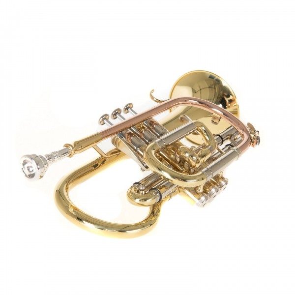 Roy Benson CR302 Bb Cornet, Lacquer Side