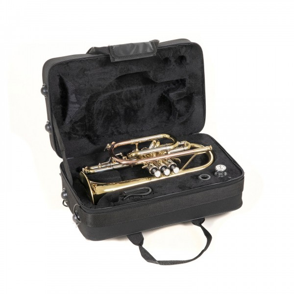 Roy Benson CR302 Bb Cornet, Lacquer In Case