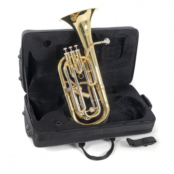 Roy Benson BH302 - 4