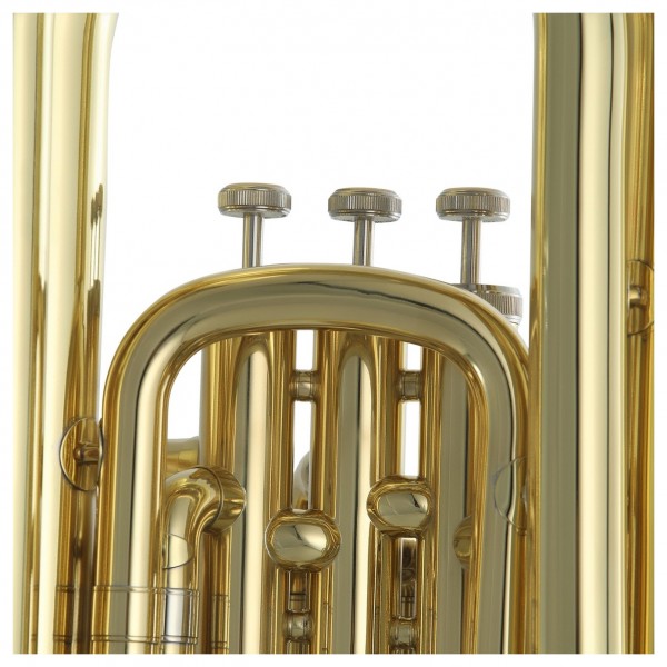 Roy Benson TB301 - 3