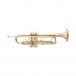 Stagg TR115 Bb Trumpet