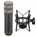 Rode Procaster Dynamic Broadcast Microphone with Free PSM1 Shockmount - Full Bundle