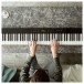 Casio PX S6000 Digital Piano Keys