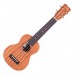 Cordoba Soprano Ukulele Player Pack front