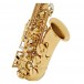 Trevor James Brooklyn Classic II Alto Saxophone