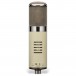 Avantone BV1 MKII Valve Tube Microphone - Rear