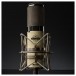 Avantone BV1 Mk II Large Diaphragm Valve Microphone - Lifestyle 2