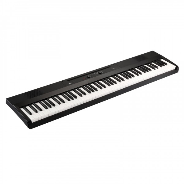 Korg Liano Digital Piano - 2