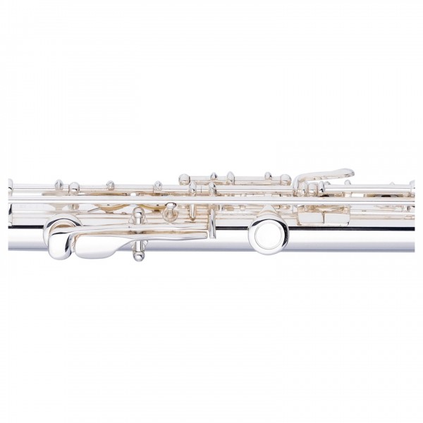 Stagg FL221S - 3