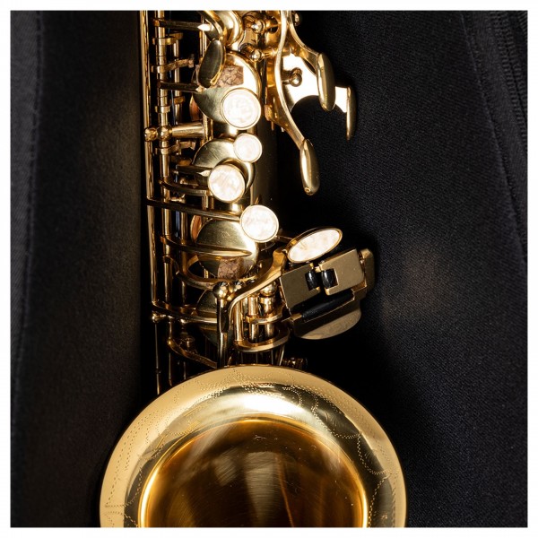 Stagg Alto Sax Gigbag - 8