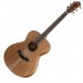 Taylor Academy 22e Walnut Top, Natural
