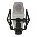 sE Electronics T2 Microphone With Shockmount Back
