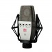 sE Electronics T2 Microphone With Shockmount Glamourous